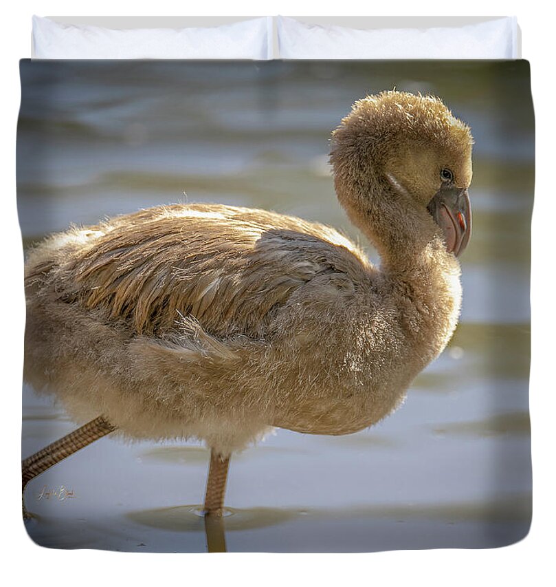 Baby Flamingo - Duvet Cover