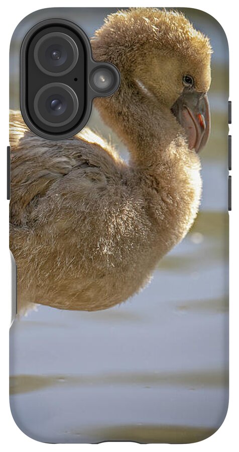Baby Flamingo - Phone Case