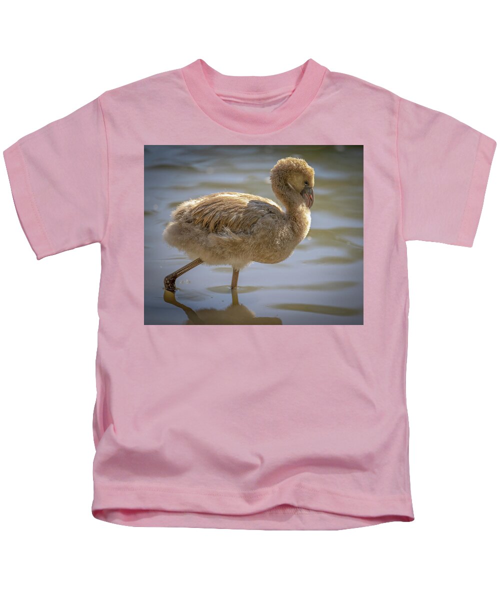 Baby Flamingo - Kids T-Shirt