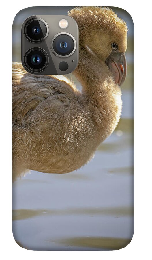 Baby Flamingo - Phone Case
