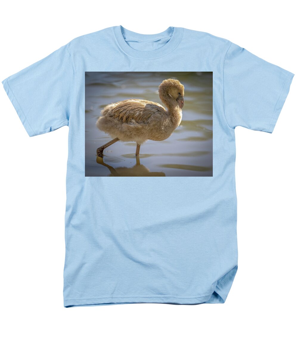 Baby Flamingo - Men's T-Shirt  (Regular Fit)