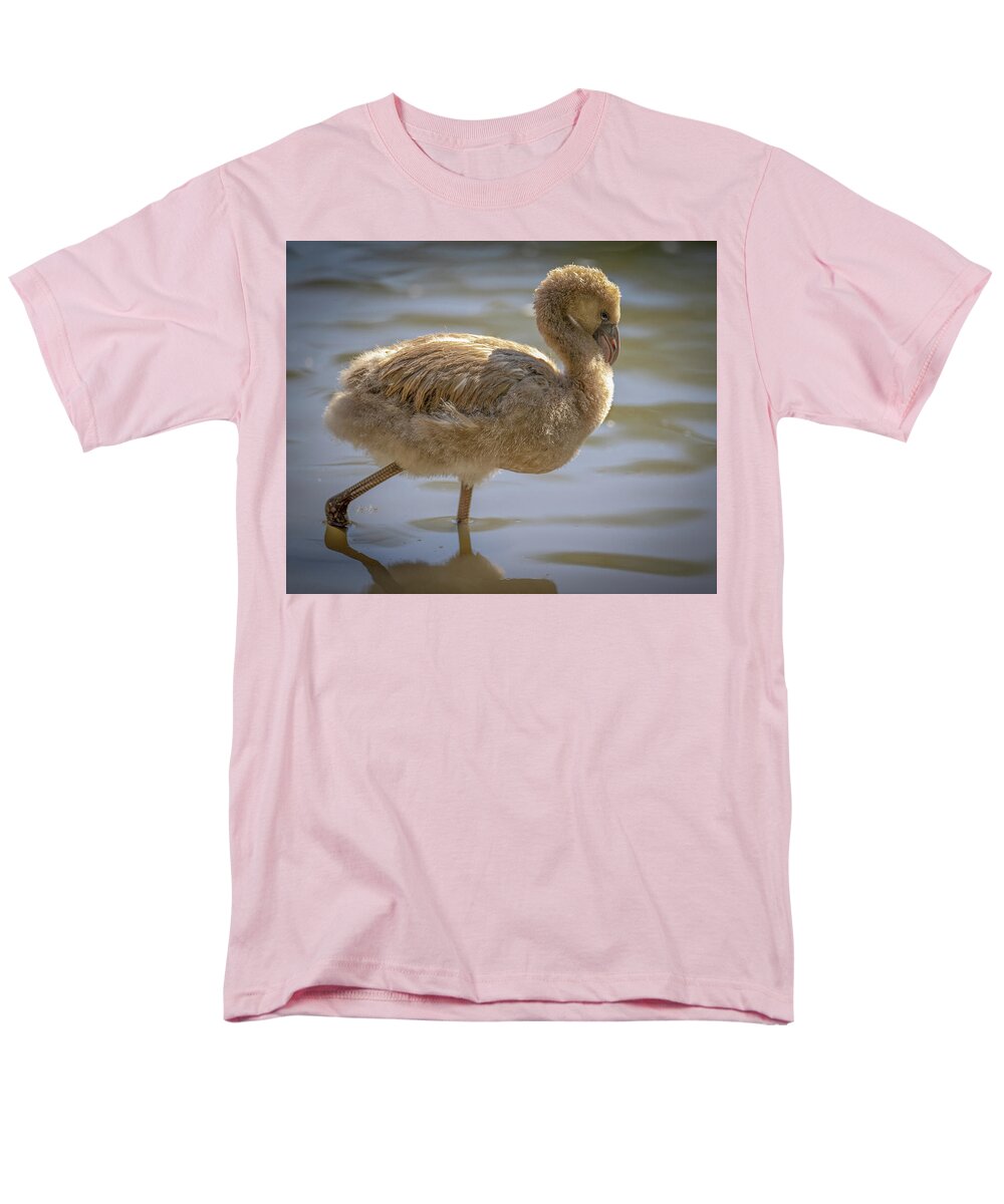 Baby Flamingo - Men's T-Shirt  (Regular Fit)