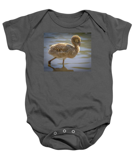 Baby Flamingo - Baby Onesie
