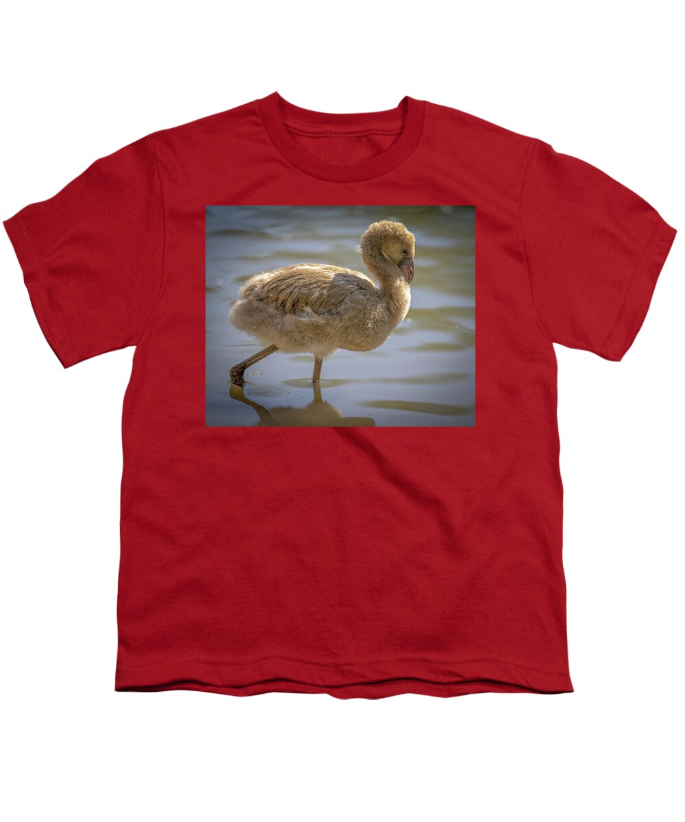 Baby Flamingo - Youth T-Shirt