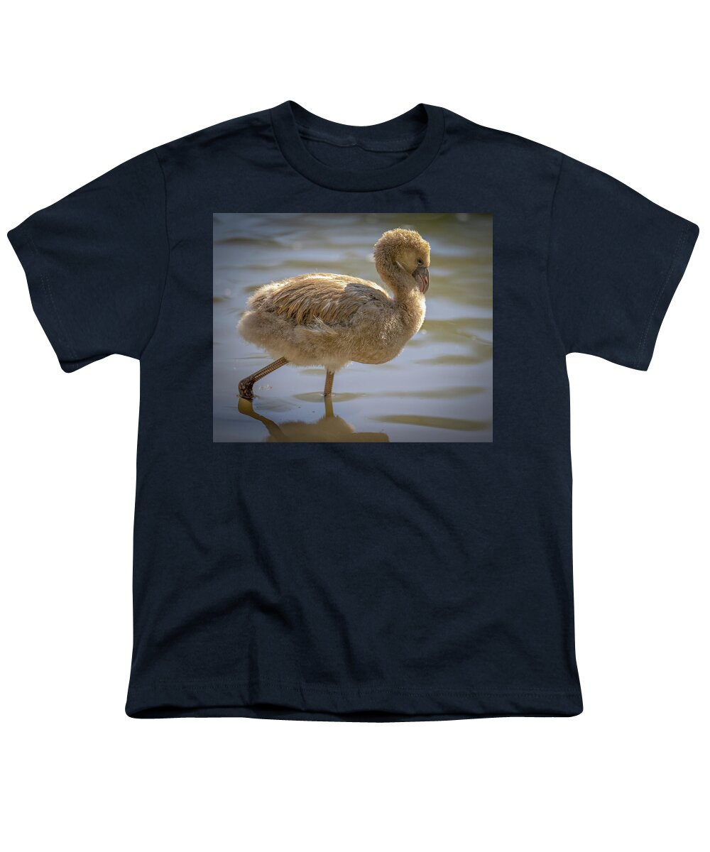 Baby Flamingo - Youth T-Shirt