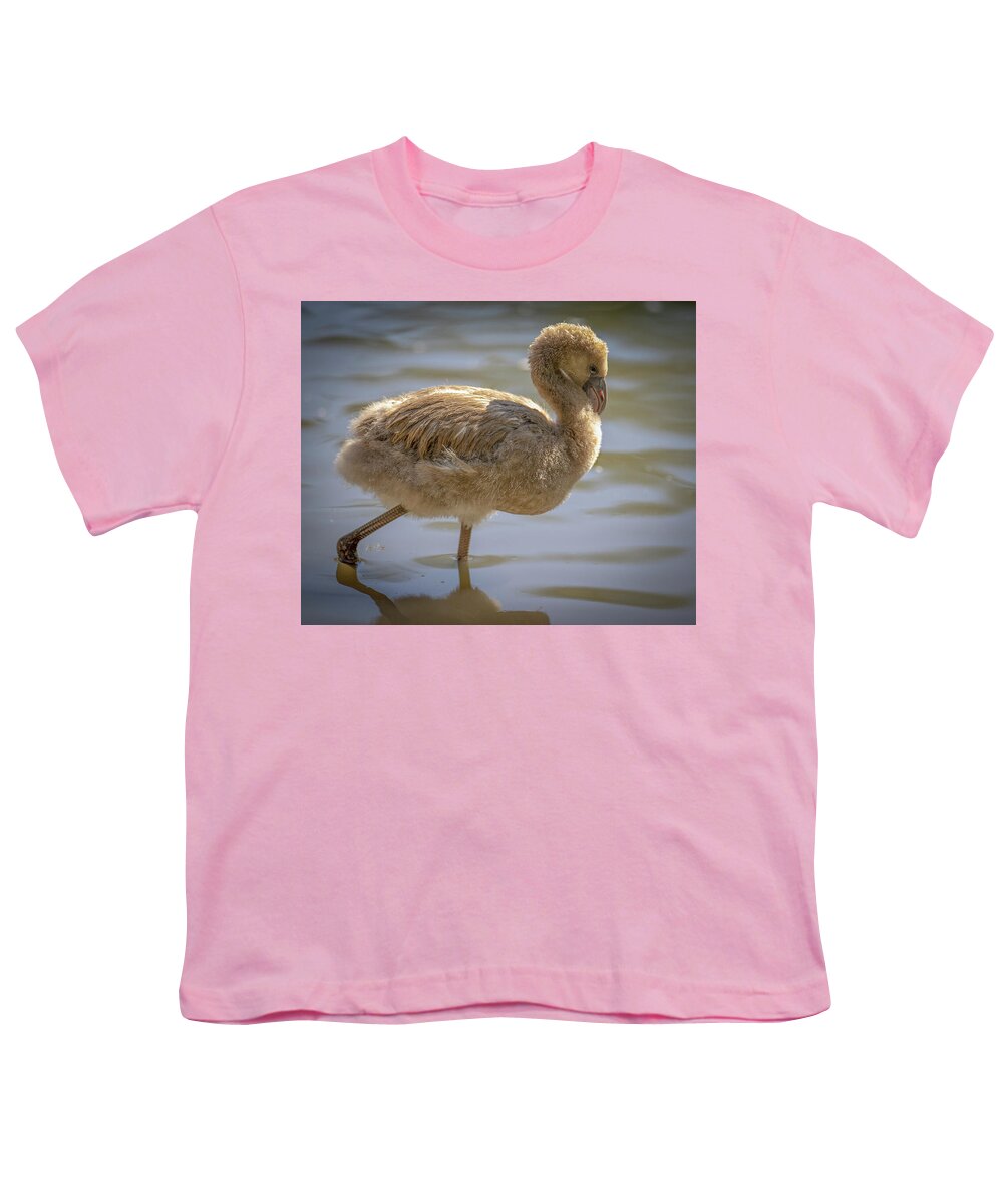 Baby Flamingo - Youth T-Shirt
