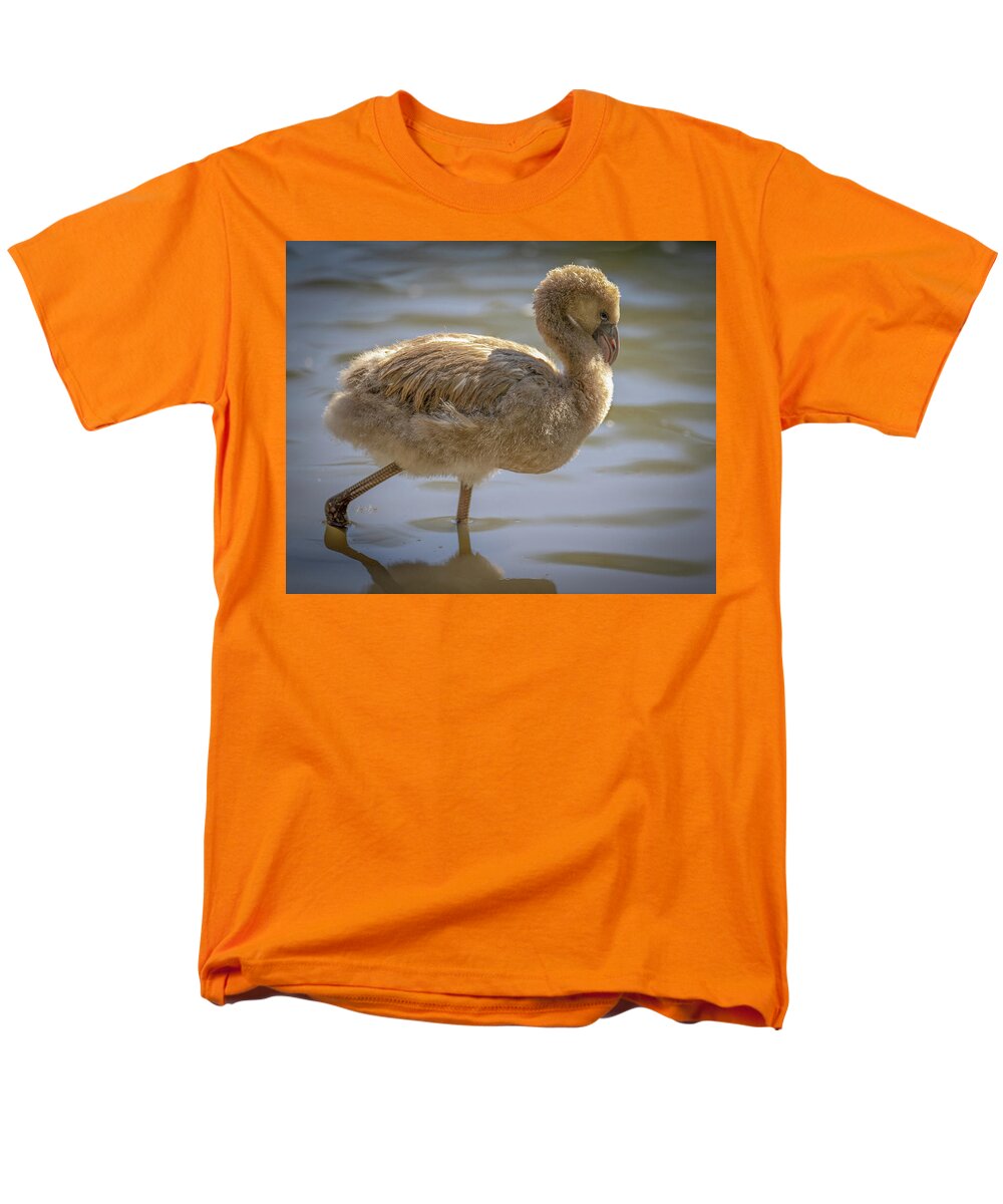 Baby Flamingo - Men's T-Shirt  (Regular Fit)