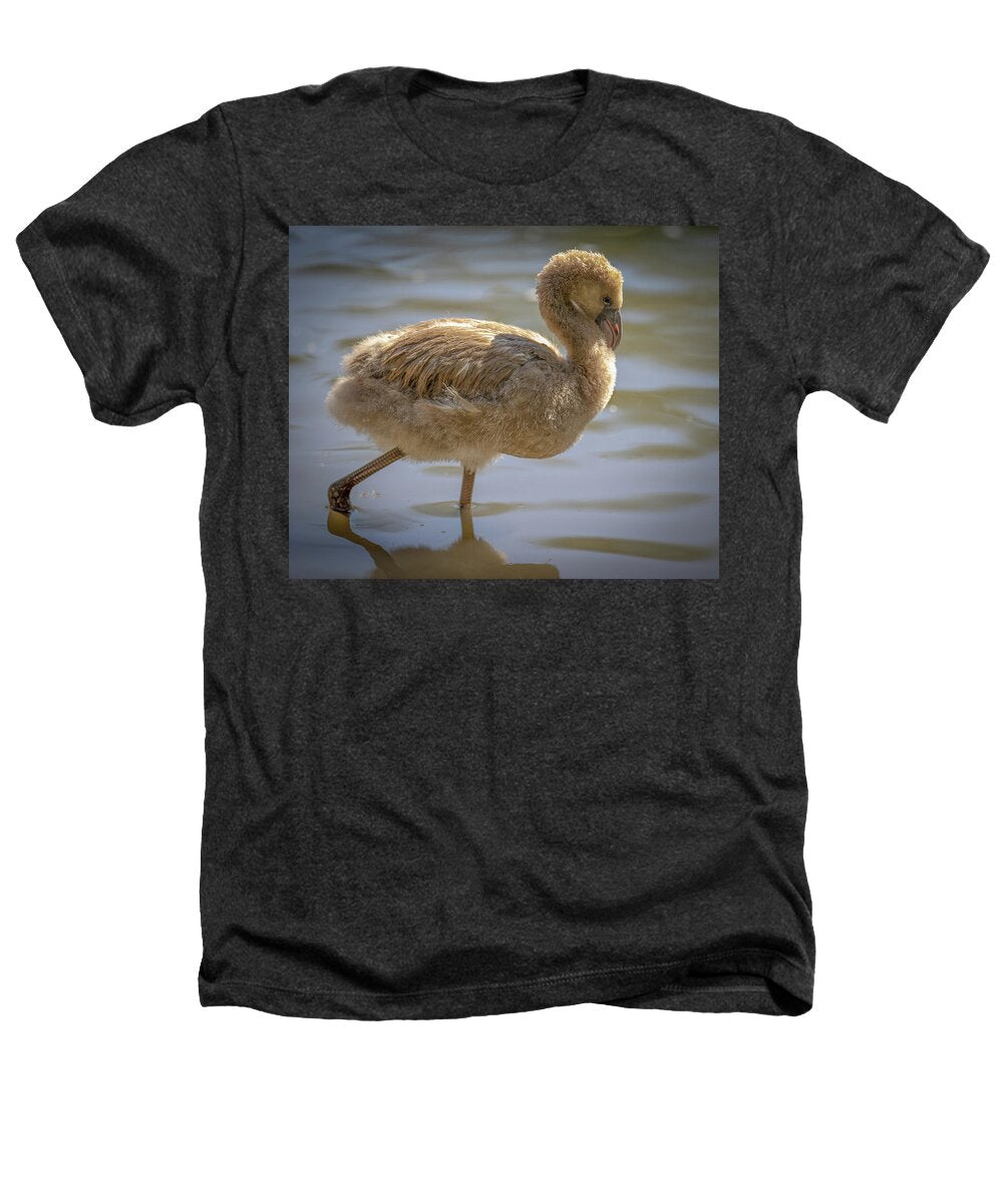 Baby Flamingo - Heathers T-Shirt