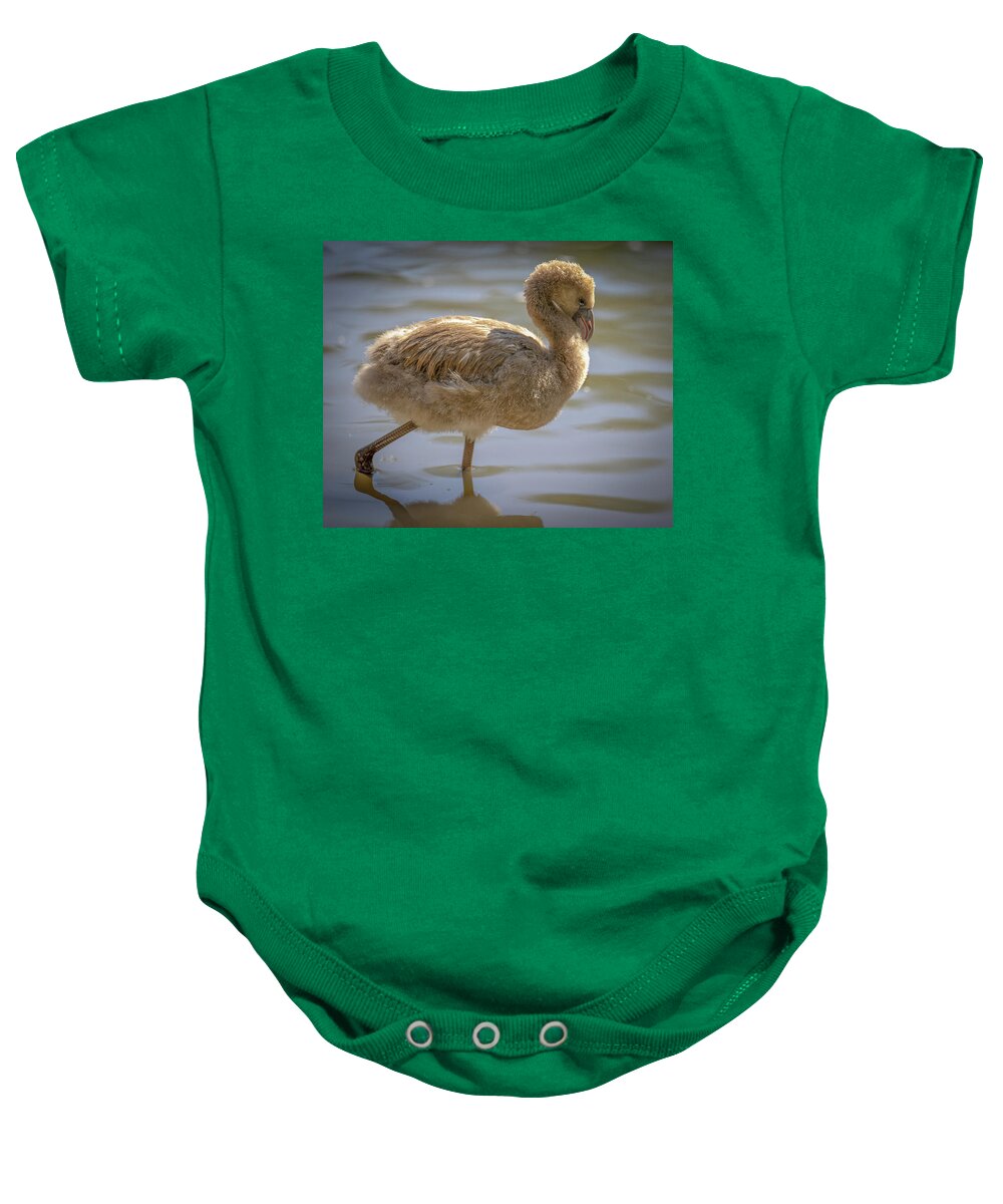 Baby Flamingo - Baby Onesie