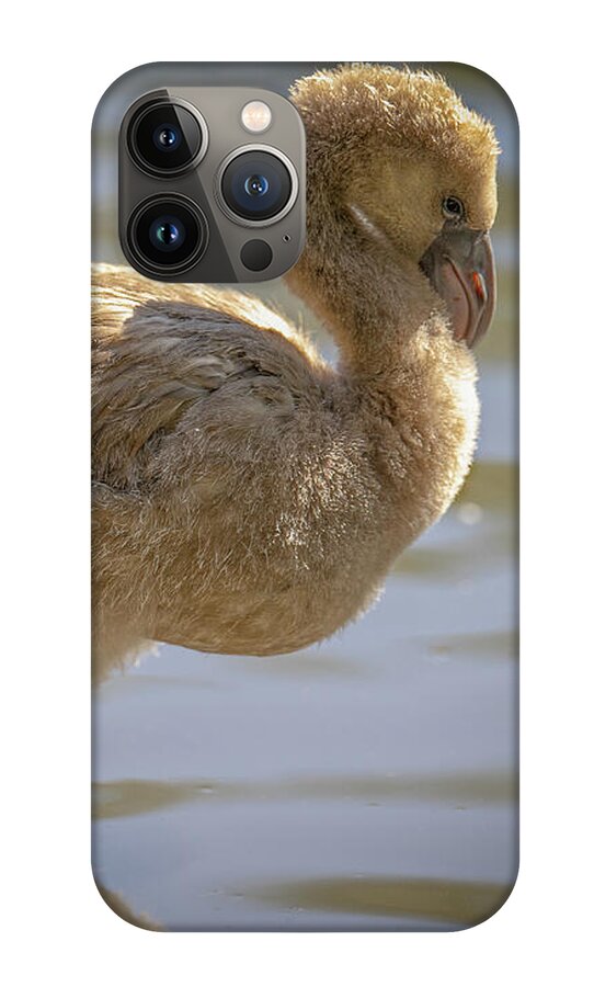 Baby Flamingo - Phone Case