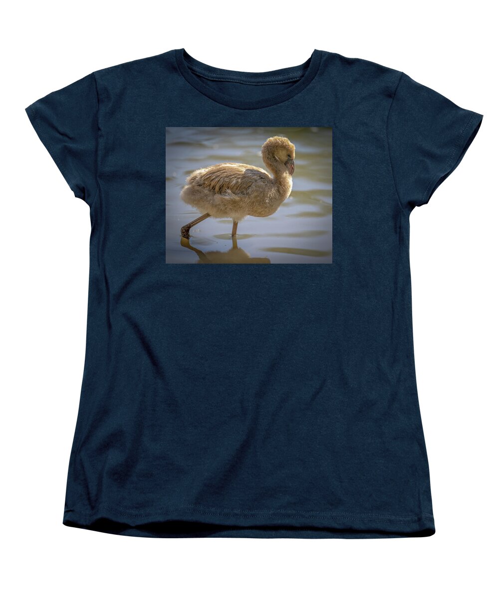 Baby Flamingo - Women's T-Shirt (Standard Fit)