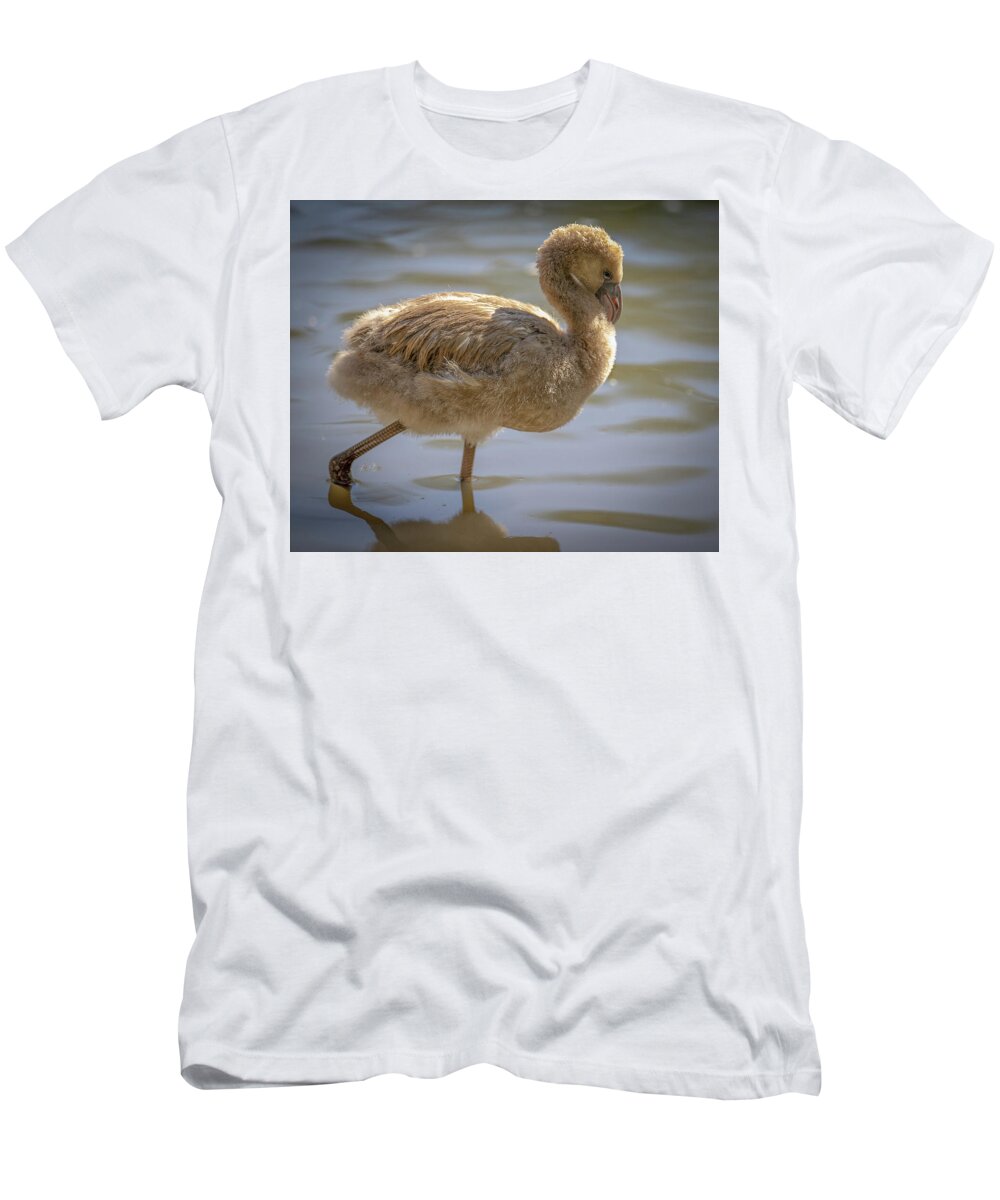 Baby Flamingo - T-Shirt