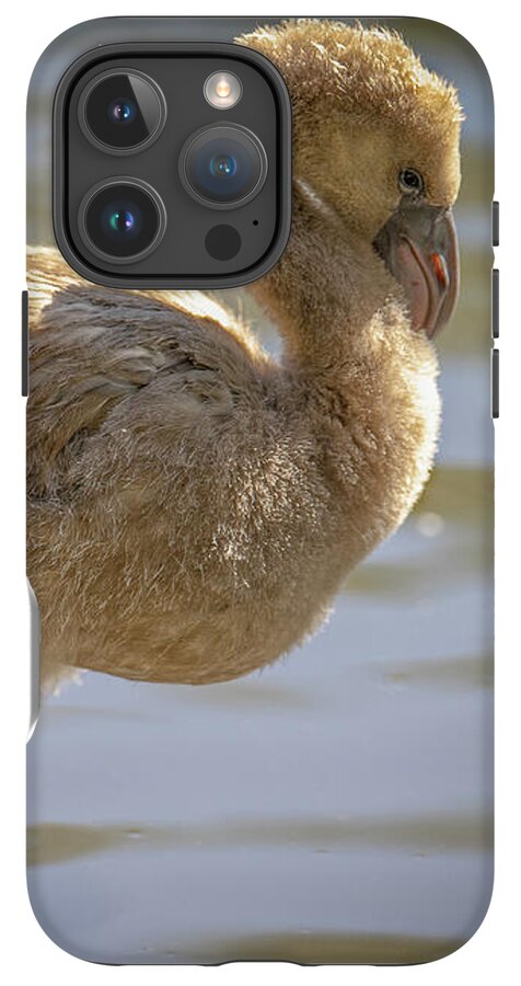 Baby Flamingo - Phone Case