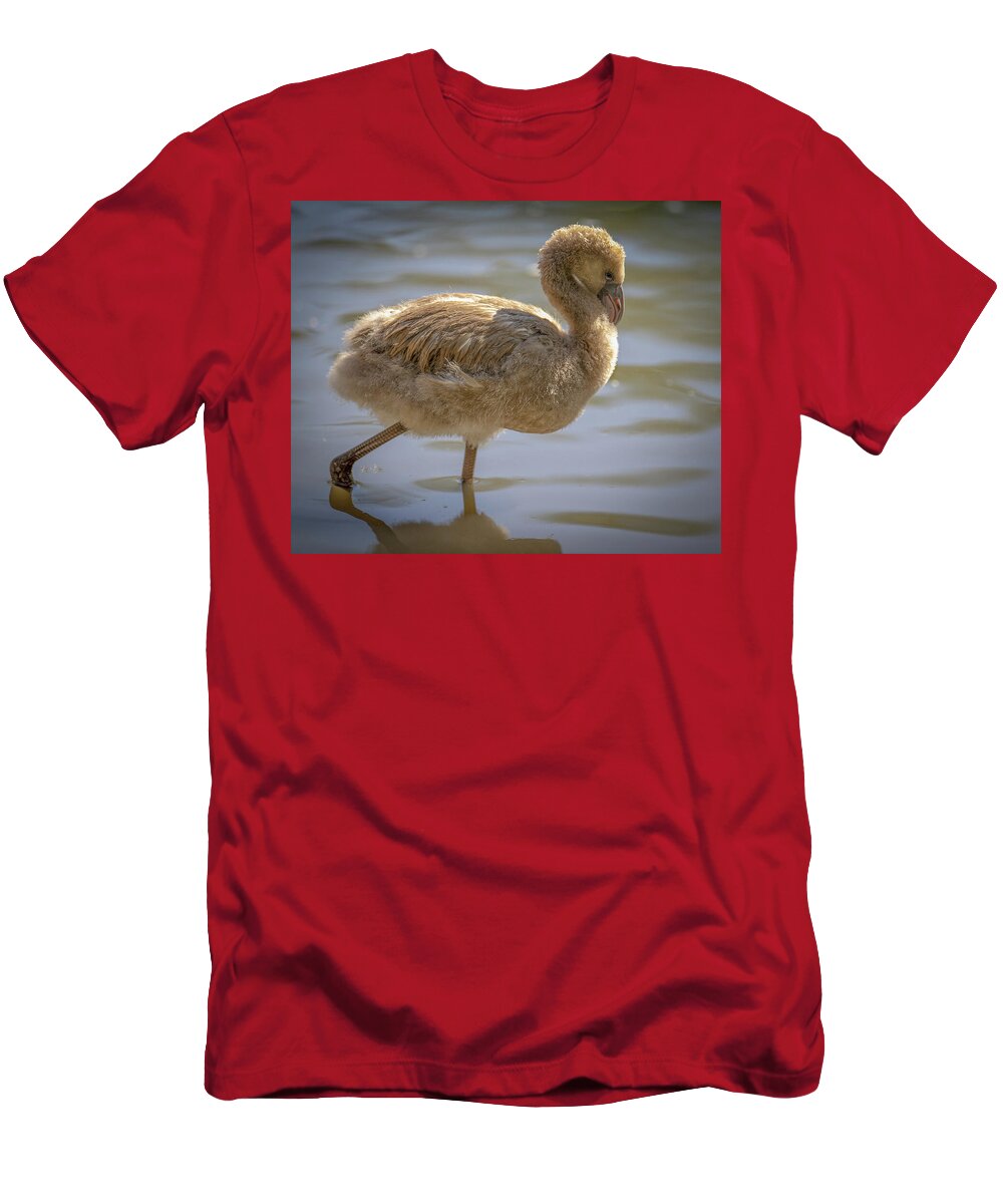 Baby Flamingo - T-Shirt