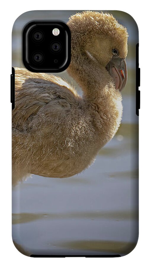 Baby Flamingo - Phone Case
