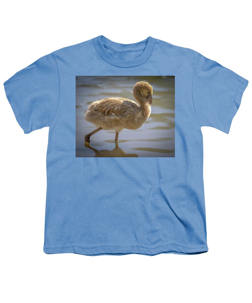 Baby Flamingo - Youth T-Shirt