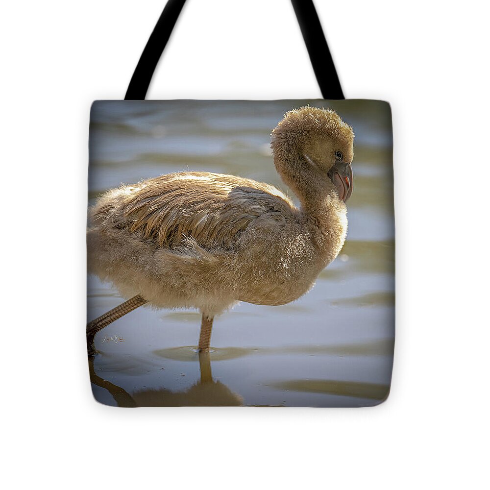 Baby Flamingo - Tote Bag