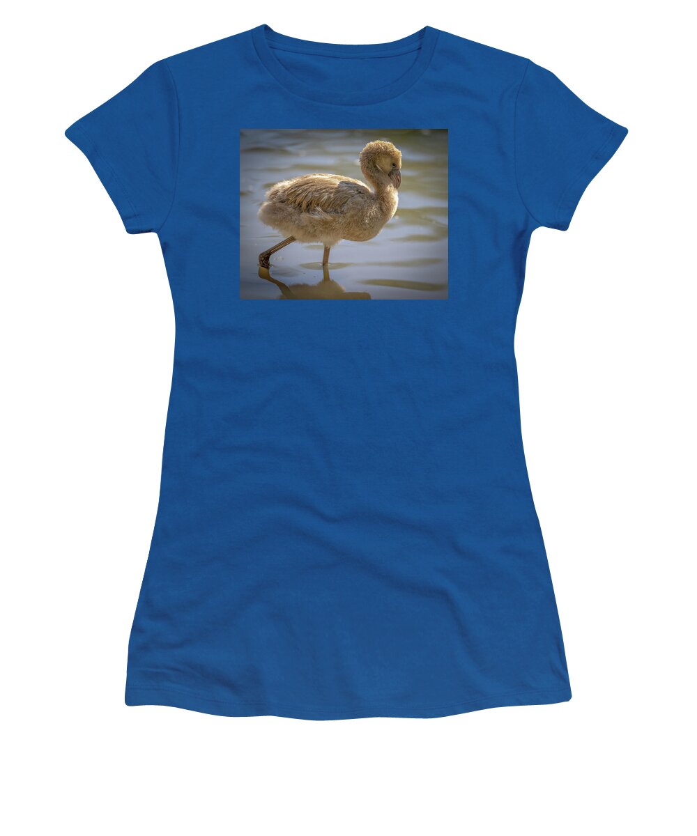 Baby Flamingo - Women's T-Shirt