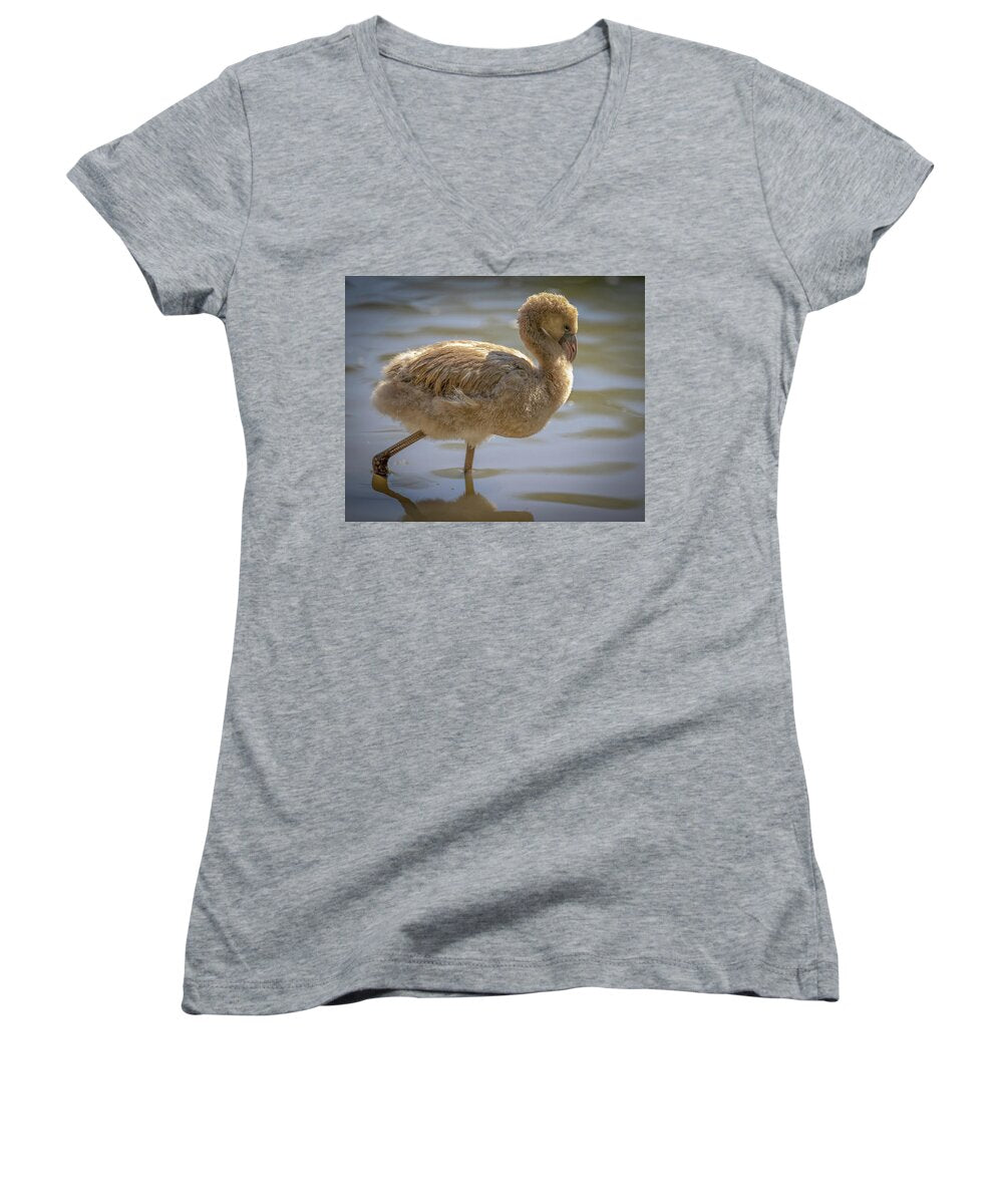 Baby Flamingo - Women's V-Neck