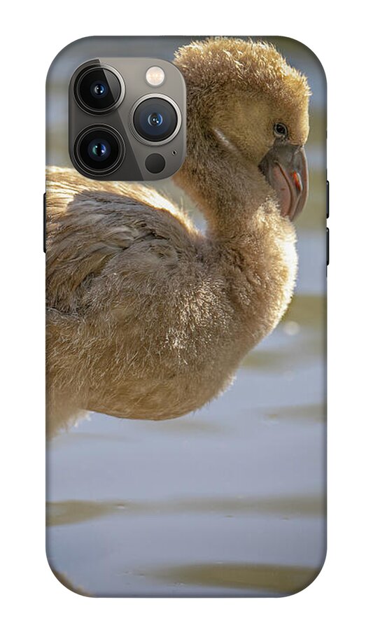 Baby Flamingo - Phone Case