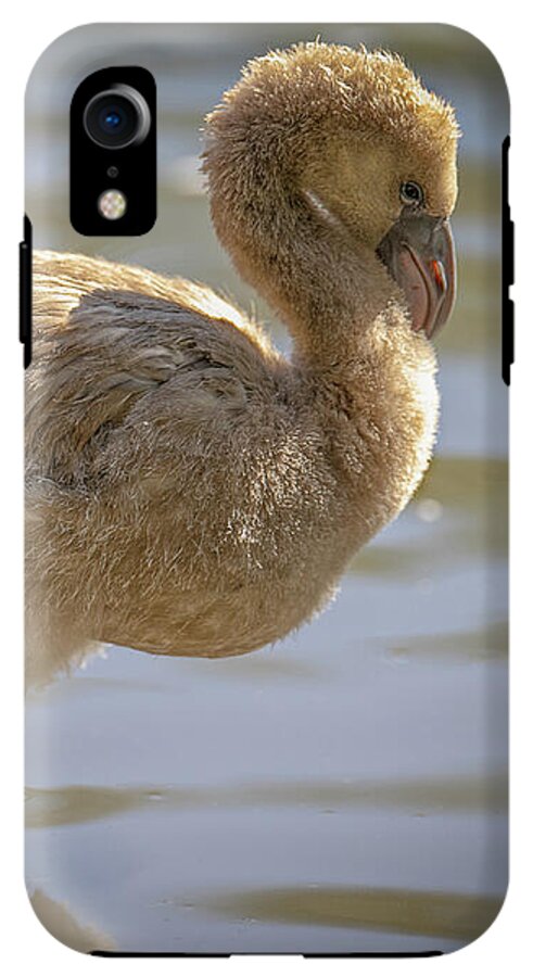 Baby Flamingo - Phone Case