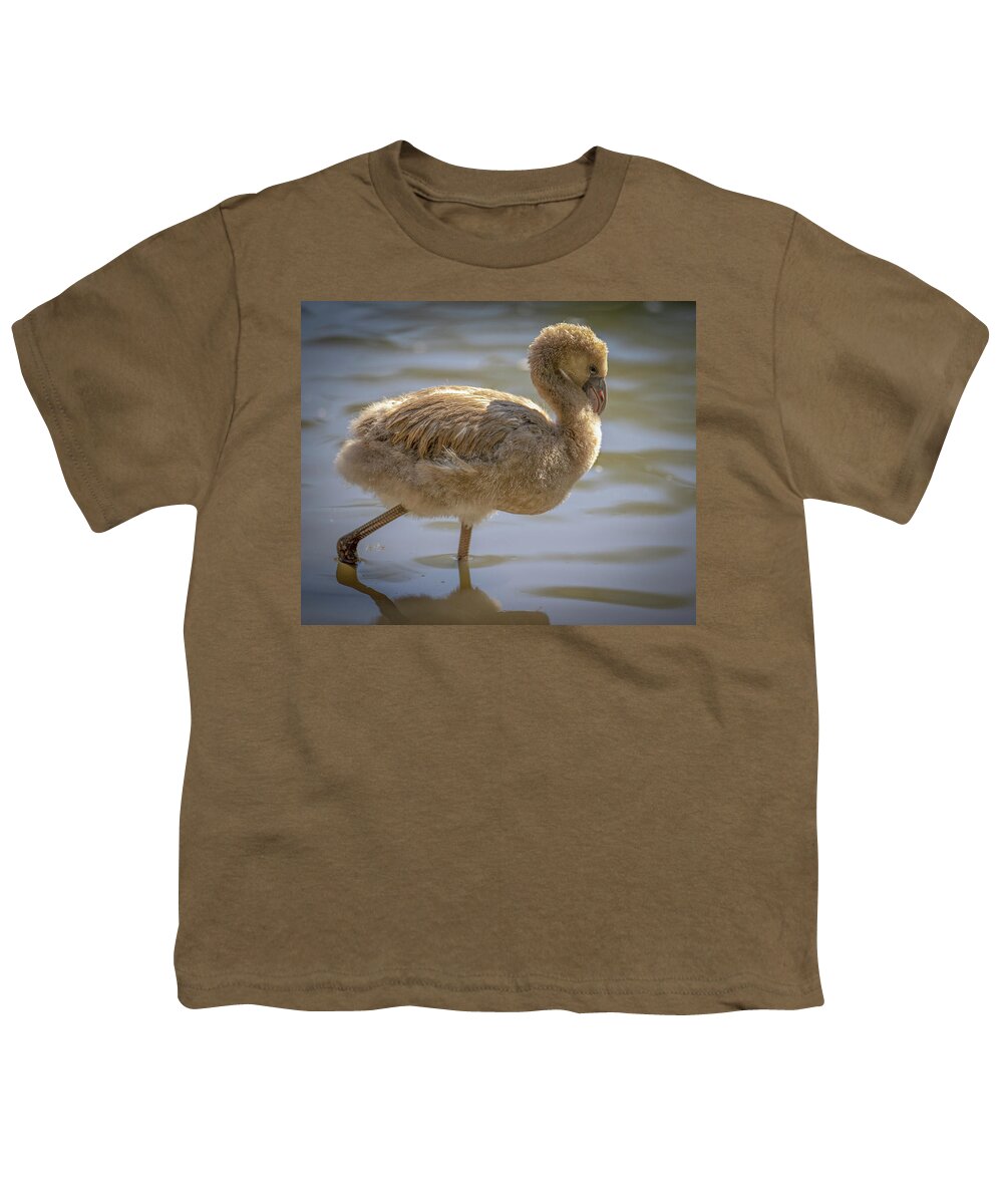 Baby Flamingo - Youth T-Shirt