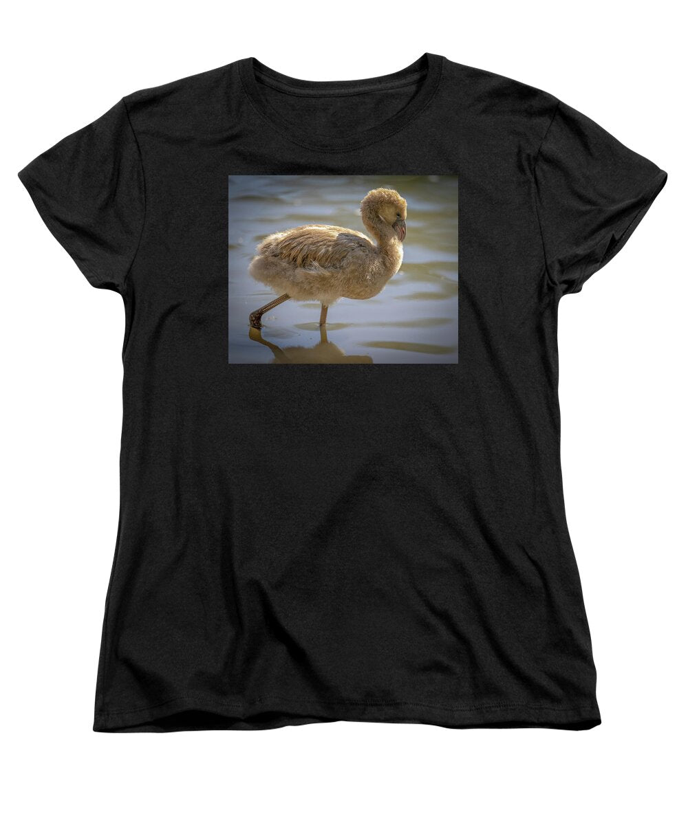Baby Flamingo - Women's T-Shirt (Standard Fit)