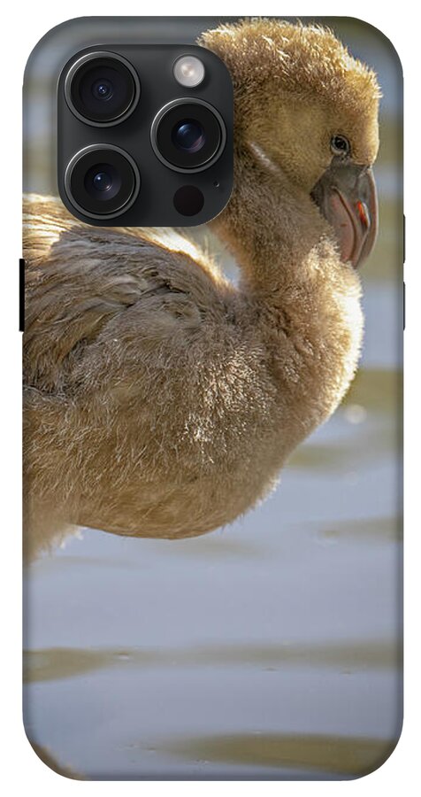 Baby Flamingo - Phone Case