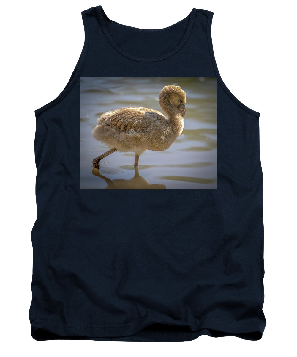 Baby Flamingo - Tank Top