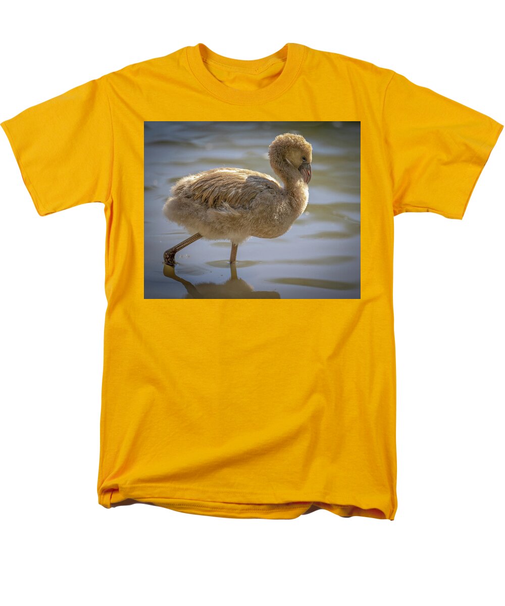 Baby Flamingo - Men's T-Shirt  (Regular Fit)