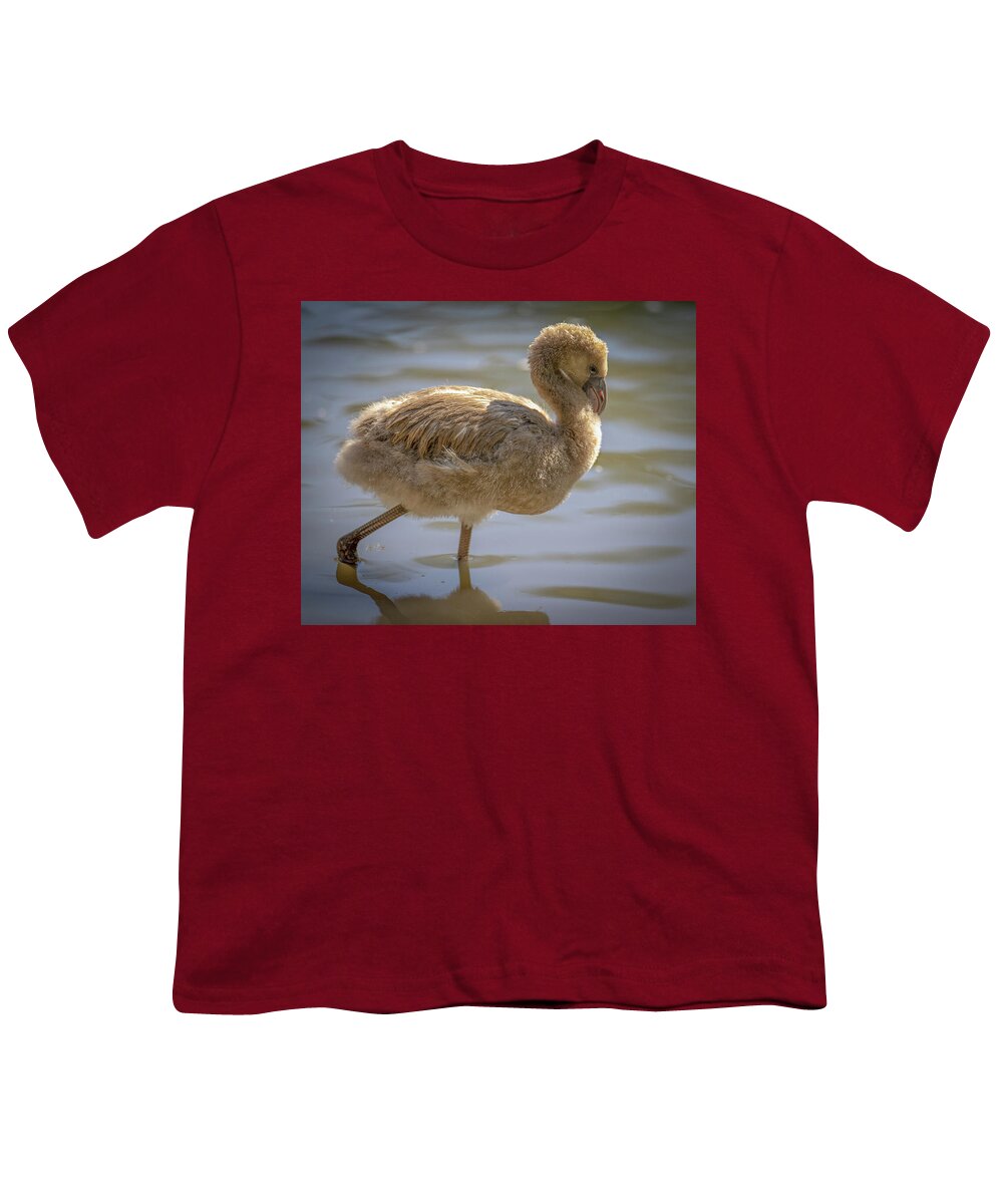 Baby Flamingo - Youth T-Shirt