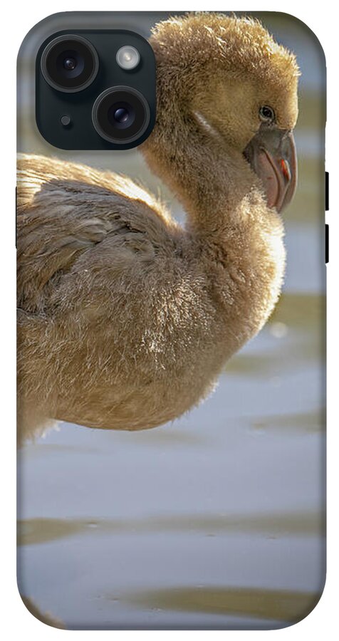 Baby Flamingo - Phone Case