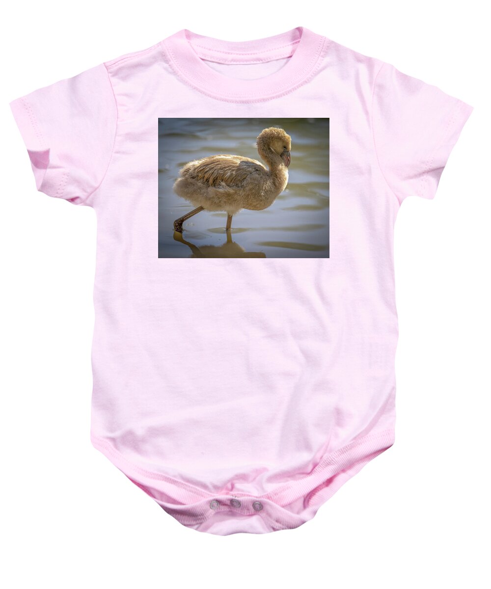 Baby Flamingo - Baby Onesie