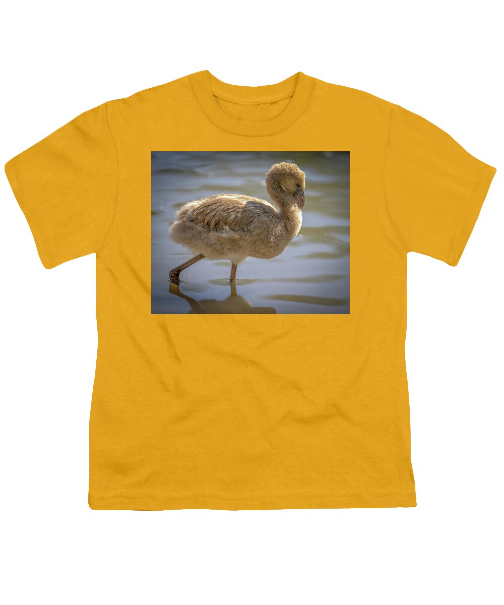 Baby Flamingo - Youth T-Shirt