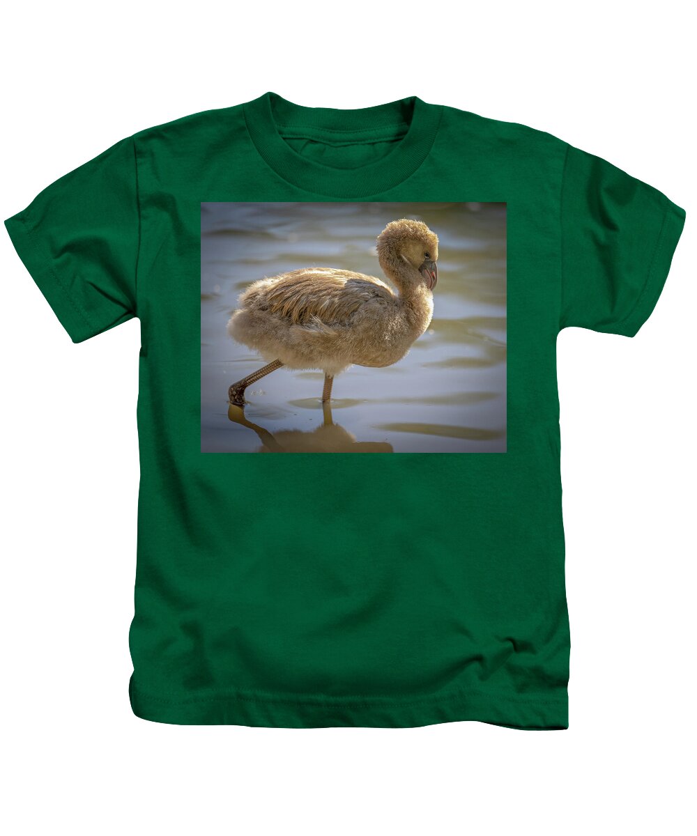Baby Flamingo - Kids T-Shirt