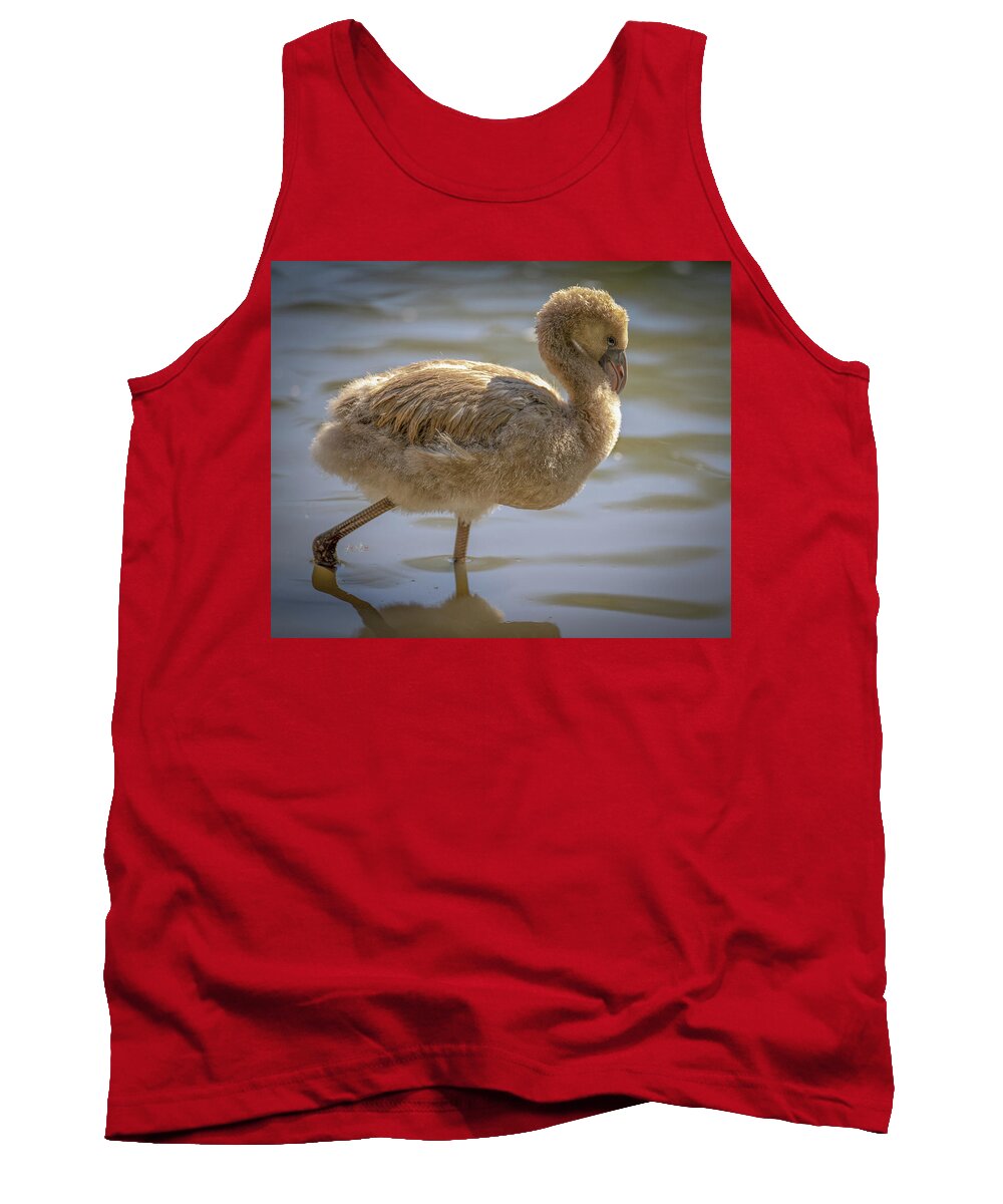 Baby Flamingo - Tank Top