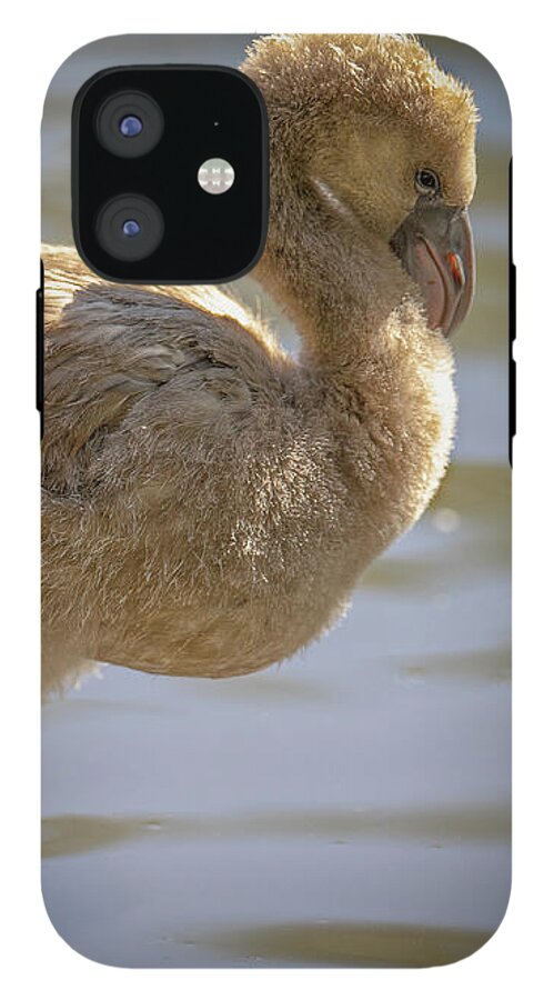 Baby Flamingo - Phone Case