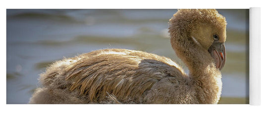 Baby Flamingo - Yoga Mat