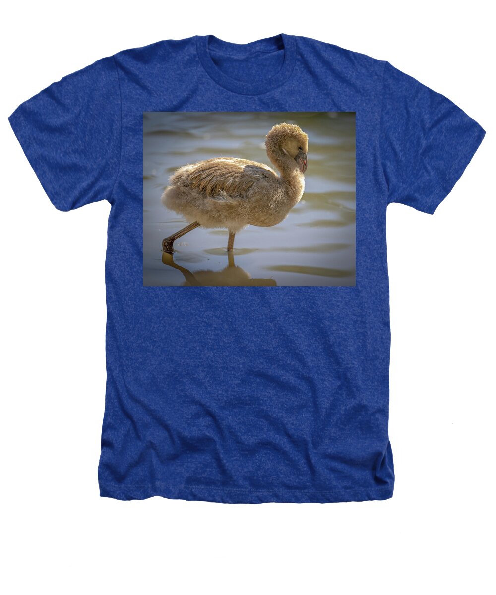 Baby Flamingo - Heathers T-Shirt