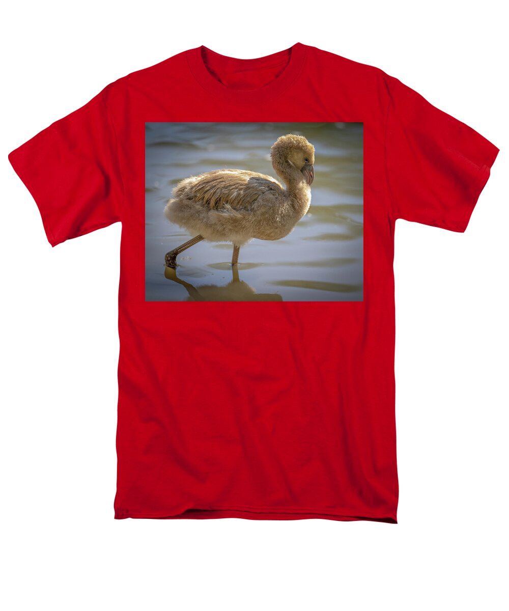 Baby Flamingo - Men's T-Shirt  (Regular Fit)