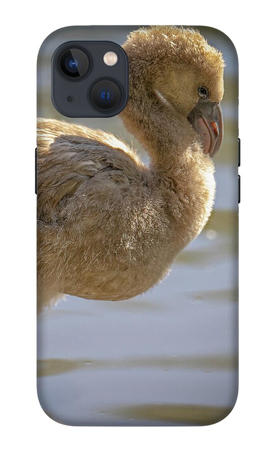 Baby Flamingo - Phone Case