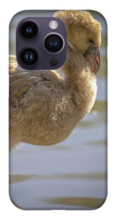 Baby Flamingo - Phone Case