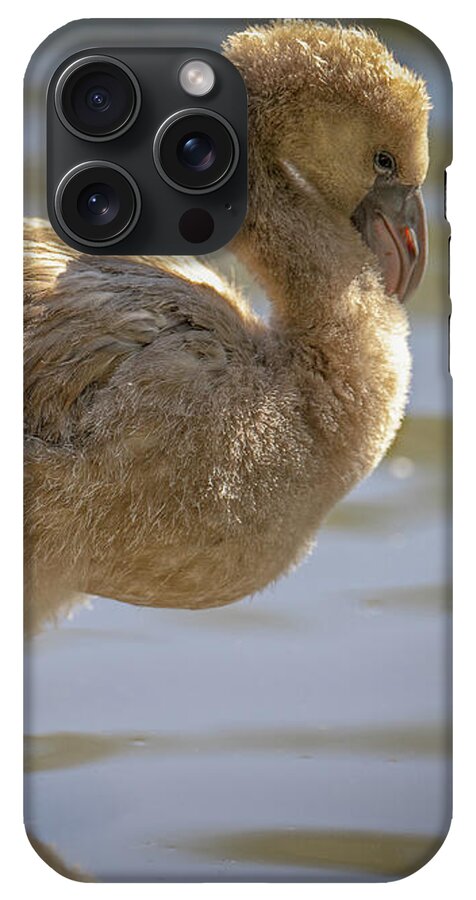 Baby Flamingo - Phone Case