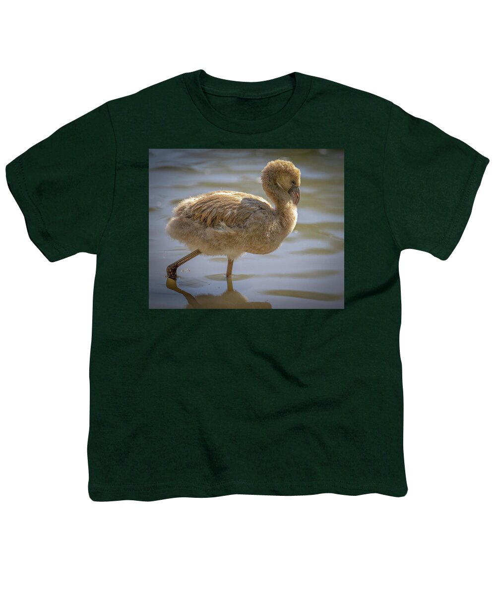 Baby Flamingo - Youth T-Shirt
