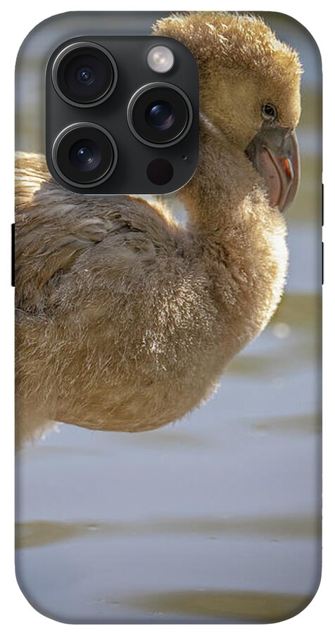 Baby Flamingo - Phone Case