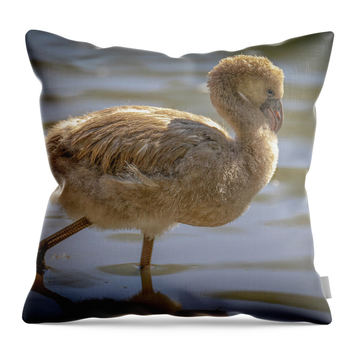Baby Flamingo - Throw Pillow