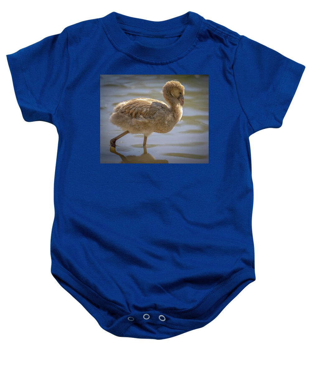 Baby Flamingo - Baby Onesie