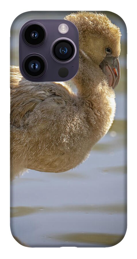 Baby Flamingo - Phone Case