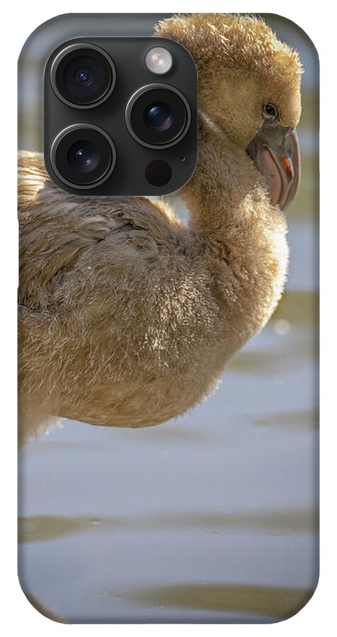 Baby Flamingo - Phone Case