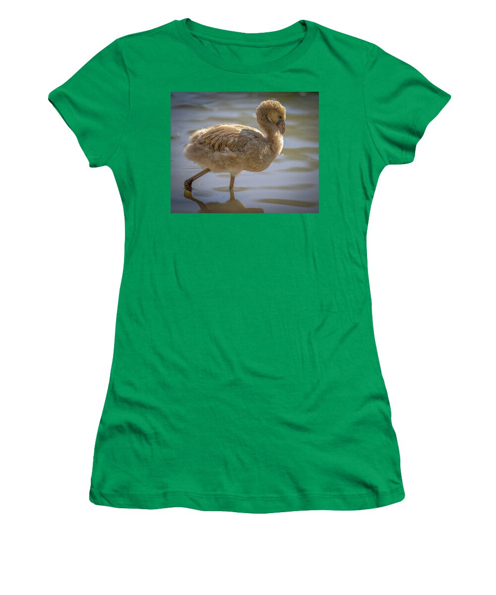 Baby Flamingo - Women's T-Shirt